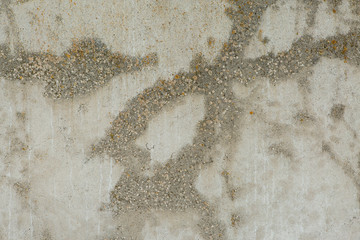 Asbestos slate texture concrete covered with lichen and moss