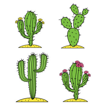 Cute desert cactus set with flowers vector illustration