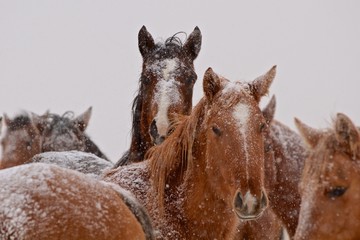 You Got Somethin' for Me?