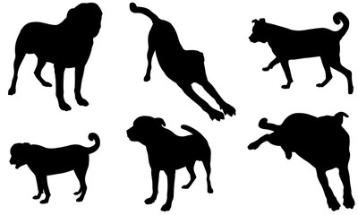 Set of different dog silhouettes isolated on white