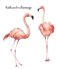 Fotobehang Watercolor two flirting pink flamingos set. Hand painted bright exotic birds isolated on white background. Wild life illustration for design, print, fabric or background. © yuliya_derbisheva