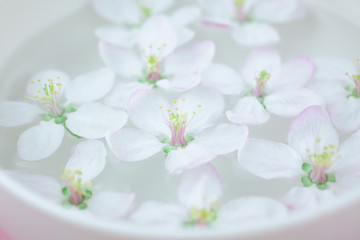 White flowers floating in water