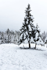Winter in Bavaria..