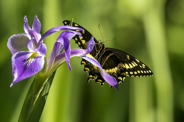 Spring is here