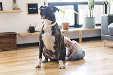Baby girl sitting with pitbull on the floor - Powered by Adobe
