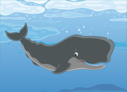 Cachalot swimming under ice floes in blue water of a polar sea, vector illustration