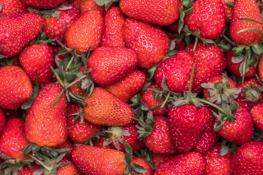 background from freshly harvested strawberries, directly above(high resolution photo)