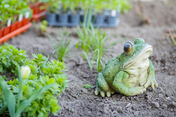 Gardening on a country site in the spring and summer season