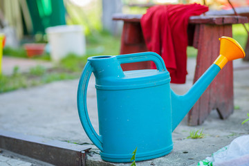 Gardening on a country site in the spring and summer season