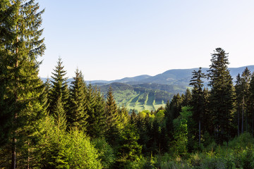 Beautiful landscape in the mountains. Blue sky, green grass and trees and in the background mountains on the horizon