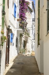 Fototapeta na wymiar Mediterranean white village of Portlligat, Cadaques, Spain