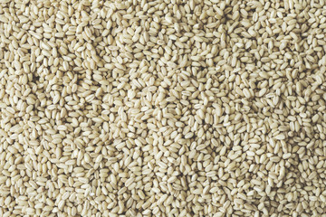 Close up texture of wheat