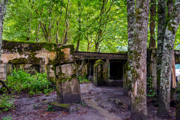 Abandoned building in the forest, Abkhazia