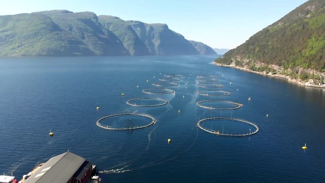 Sea fish farm in Norway. Aerial drone shot.