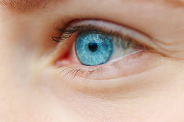 Obraz premium close-up photo of blue eye