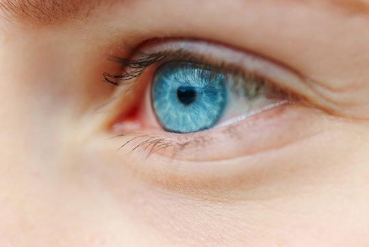 close-up photo of blue eye