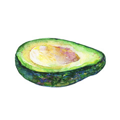 Hand drawn watercolor ripe, slice avocado. Painting vegetable on white background