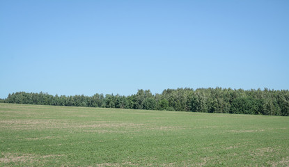 agricultural field lansdcape