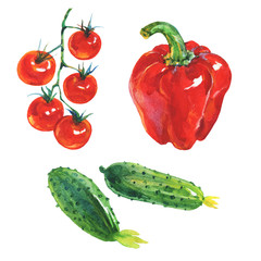 Watercolor set of fresh vegetables on white background. Hand drawn red paprika pepper, cucumbers, cherry tomatoes