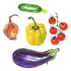 Watercolor set of fresh vegetables on white background. Hand drawn yellow paprika pepper, eggplant, onion, cucumber and cherry tomatoes
