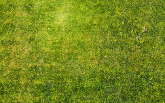 Grass texture. Aerial photo of green lawn.