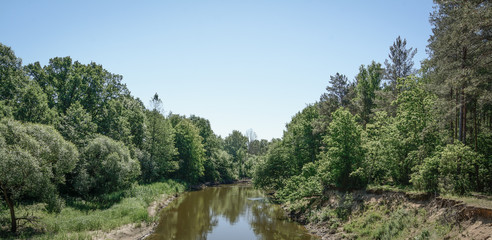 Obraz premium forest river lanscape