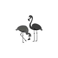 Stylized silhouette of a flamingo. Logo design for the company.