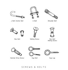 Hand Drawn Sketch of Screw Types Set