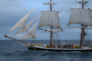 Fototapeta na wymiar Norwegen, Nordsee, vor Kristiansand, Tall Ship Race, Großsegler, niederländische Brigg Morgenster