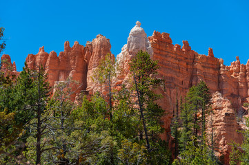 Queens Garden Trail, Bryce Canyon National Park. The most expansive views are near the top of the Queens Garden Trail, over a wide area of hoodoos to the north, extending towards Fairyland Canyon. 