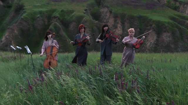 Female musical quartet with three violins and one cello plays at flowering meadow against backdrop of picturesque landscape and grass swaying in the wind. Closeup.