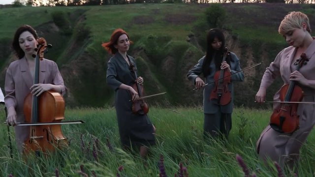 Female musical quartet with three violins and one cello plays at flowering meadow against backdrop of picturesque landscape and grass swaying in the wind.