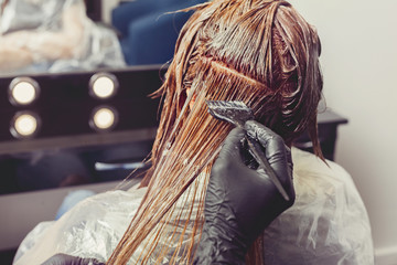 Female stylist applying a dye to the clients hair - obrazy, fototapety, plakaty