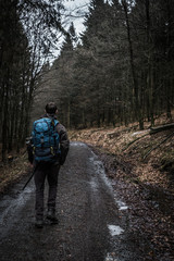 Obraz premium Wandern im Teutoburger Wald 