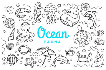 Fototapeta premium sea ocean fauna