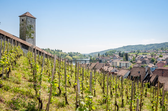 Forteresse du Munot dominant Schaffhouse en Suisse