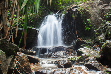 Waterfall in the forest phuket Thailand. Tropical zone
