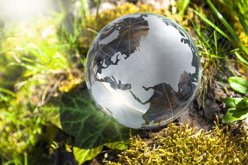 Glasglobus Erde Weltkugel auf Waldboden Umwelt Natur Klimawandel Umweltschutz Klimaschutz