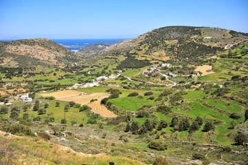 Fototapeta na wymiar Traditional greek landscape