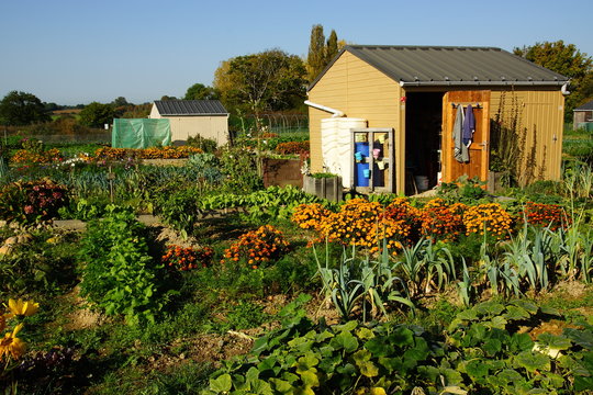 Jardins communautaires