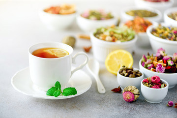 Tea concept with copy space. Different kinds of dry tea in white ceramic bowls and cup of aromatic tea on grey background.