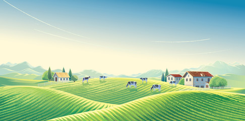 Herd of cows  in summer rural landscape at dawn among fields and pastures. Vector illustration.