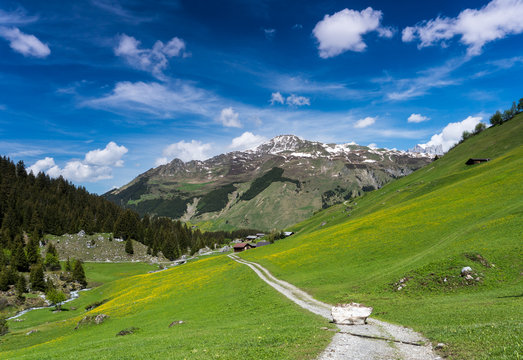 odd block of snow obstructing a gravel road in a gorgeous mountain landscape near Klosters on a summer day