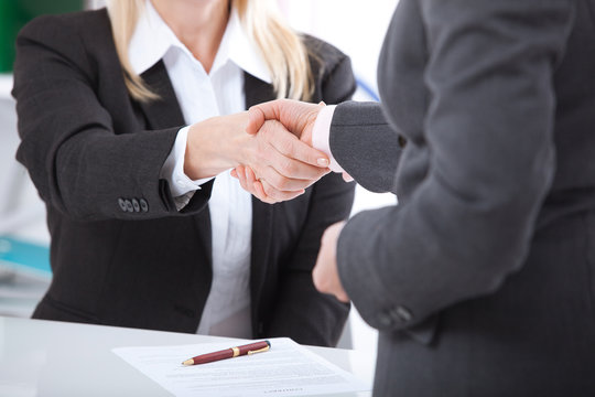 Business handshake. Two business women shake hands with each other to sign a successful deal