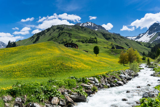 beautiful mountain valley near Klosters on a summer day with a small creek running through it
