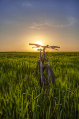 Fototapeta na wymiar Bicycle in the field