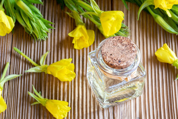 A bottle of evening primrose oil with fresh blooming evening primrose plant