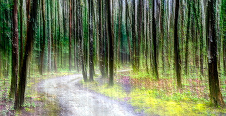 light illuminated path through a lush green forest abstract panning style