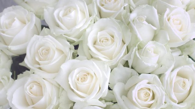 Roses. Beautiful white rose flowers bouquet background. Flowers bunch backdrop, Rotation. 4K UHD video 3840X2160