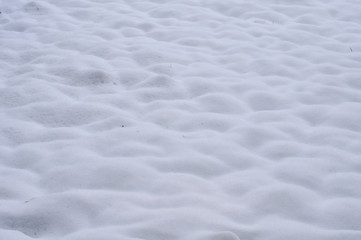 Fototapeta na wymiar meadow covered with snow